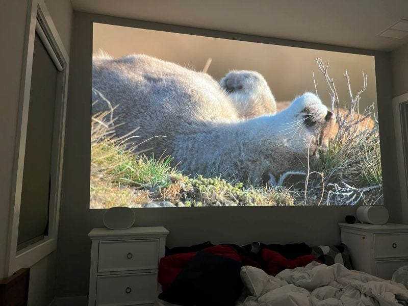 Bedroom projector setup showing a large movie scene on a blank wall above the bed, with speakers on both nightstands.