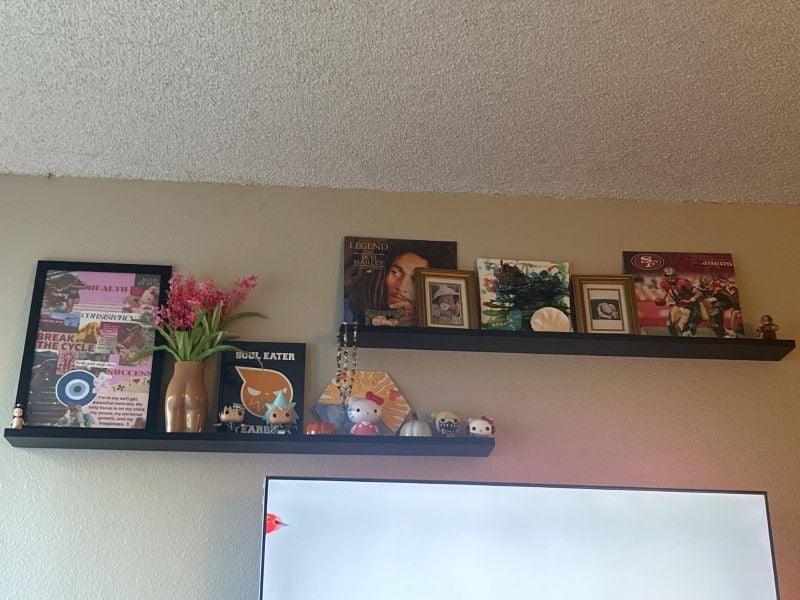 Two black picture ledges above a TV styled with albums, framed photos, plants, and small collectibles for renter-friendly wall decor.
