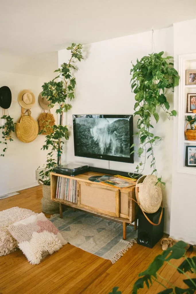 Cozy TV corner with leafy hanging plants, wall hooks, straw hats, and a wood console with record storage.
