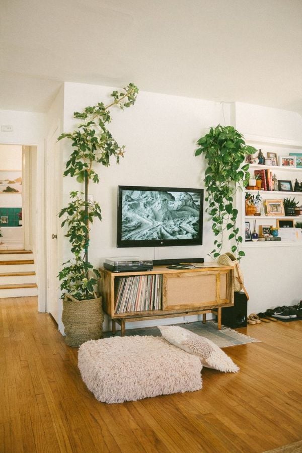 Living room TV setup with tall hanging plants framing the television above a mid-century wood media console.