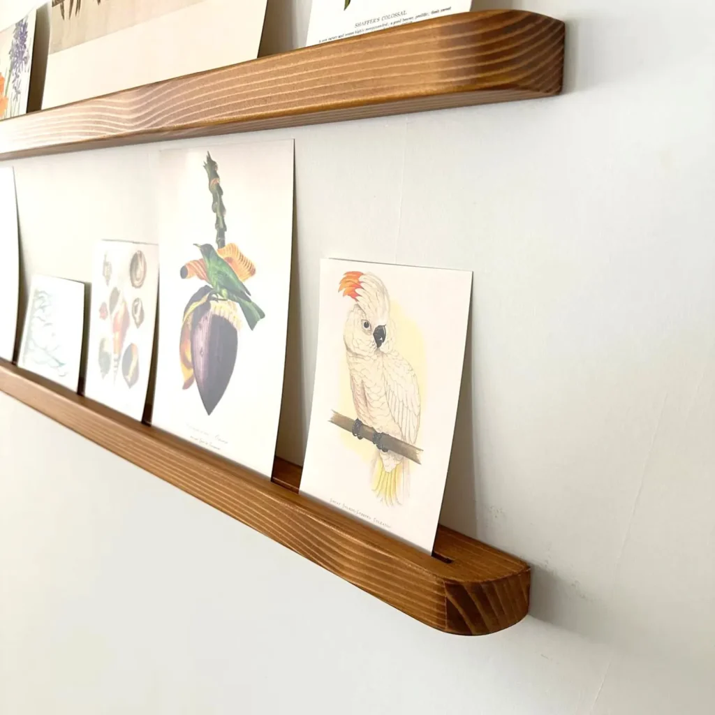 Close-up of a slim wood picture ledge holding botanical art prints, including a bird illustration.