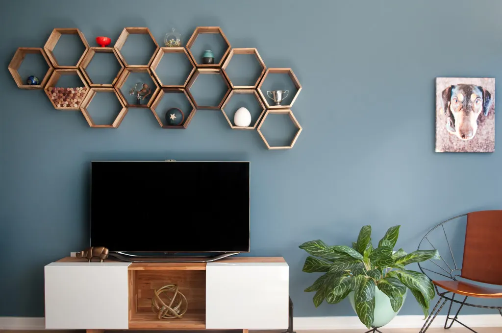 Living room with a TV on a low media console, renter-friendly honeycomb wall shelves above the TV, a potted plant, accent chair, and framed dog artwork on a blue-gray wall.